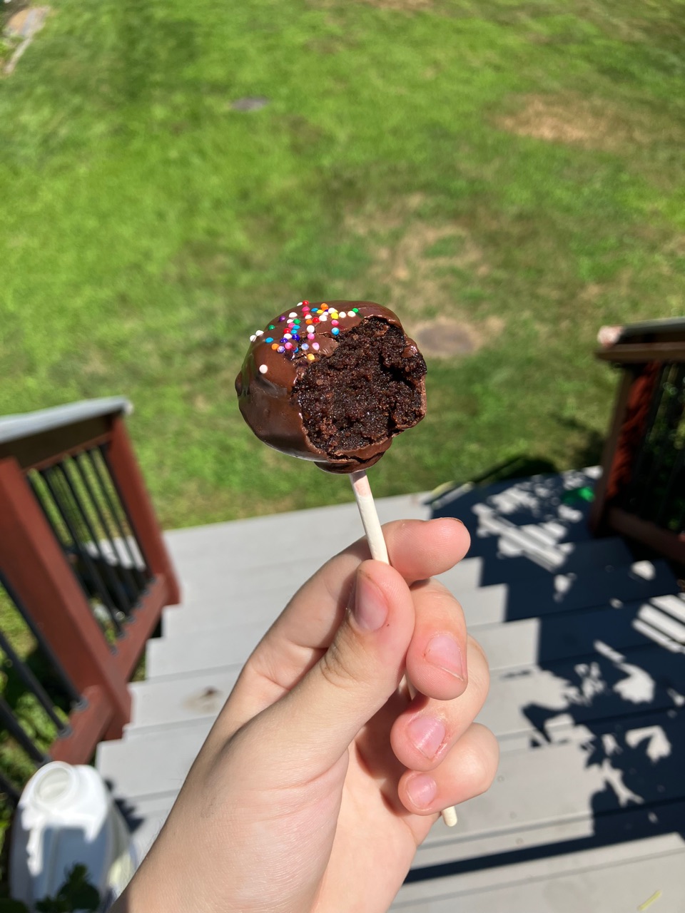 Bitten chocolate cake pop showing the inside