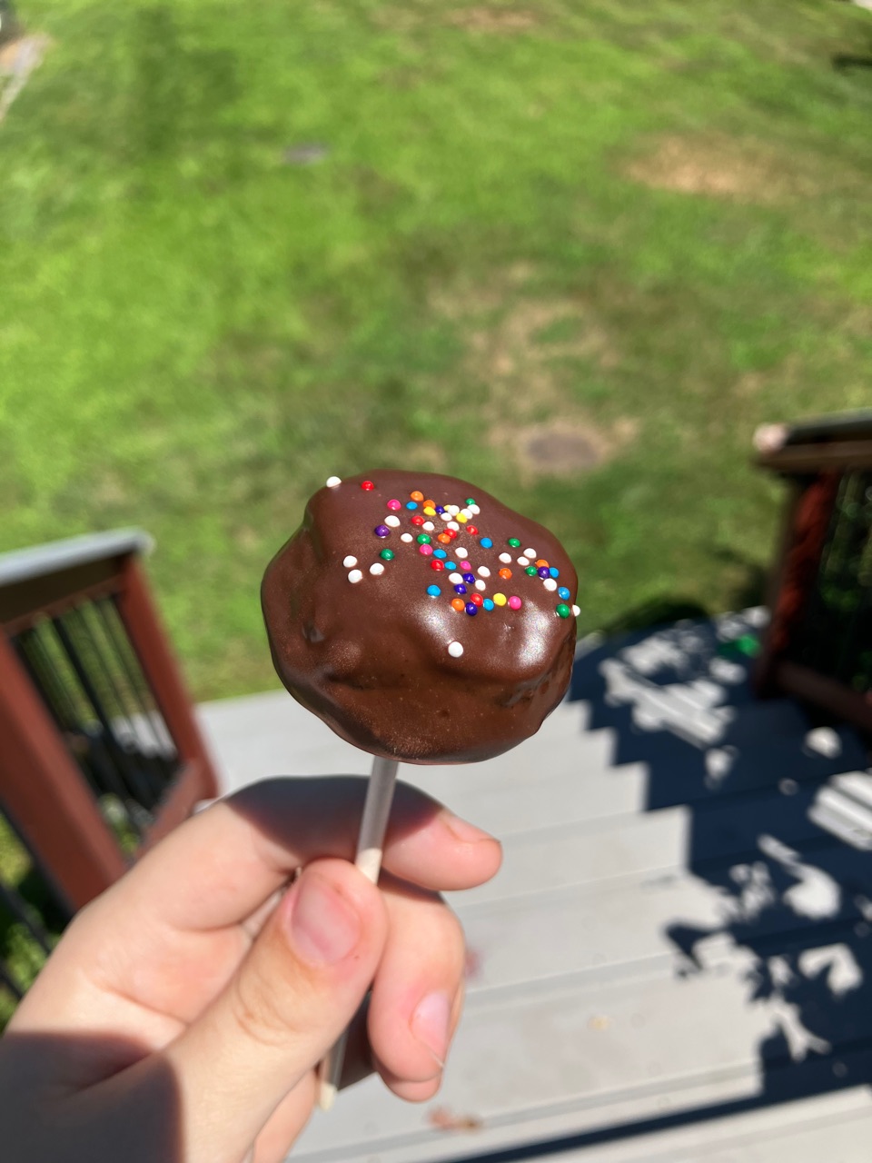 Chocolate cake pop topped with sprinkles